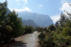 nepal himalaya