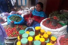 nepal kathmandu treking