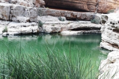 Potovanje Oman - foto Petra Škarja