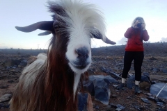 Potovanje Oman - foto Petra Škarja 14