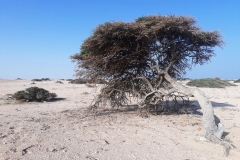 Potovanje Oman - foto Petra 4