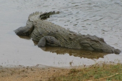 srilanka potovanje 7