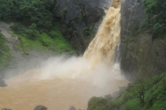 srilanka potovanje 8