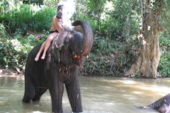 srilanka potovanje 9 (2)